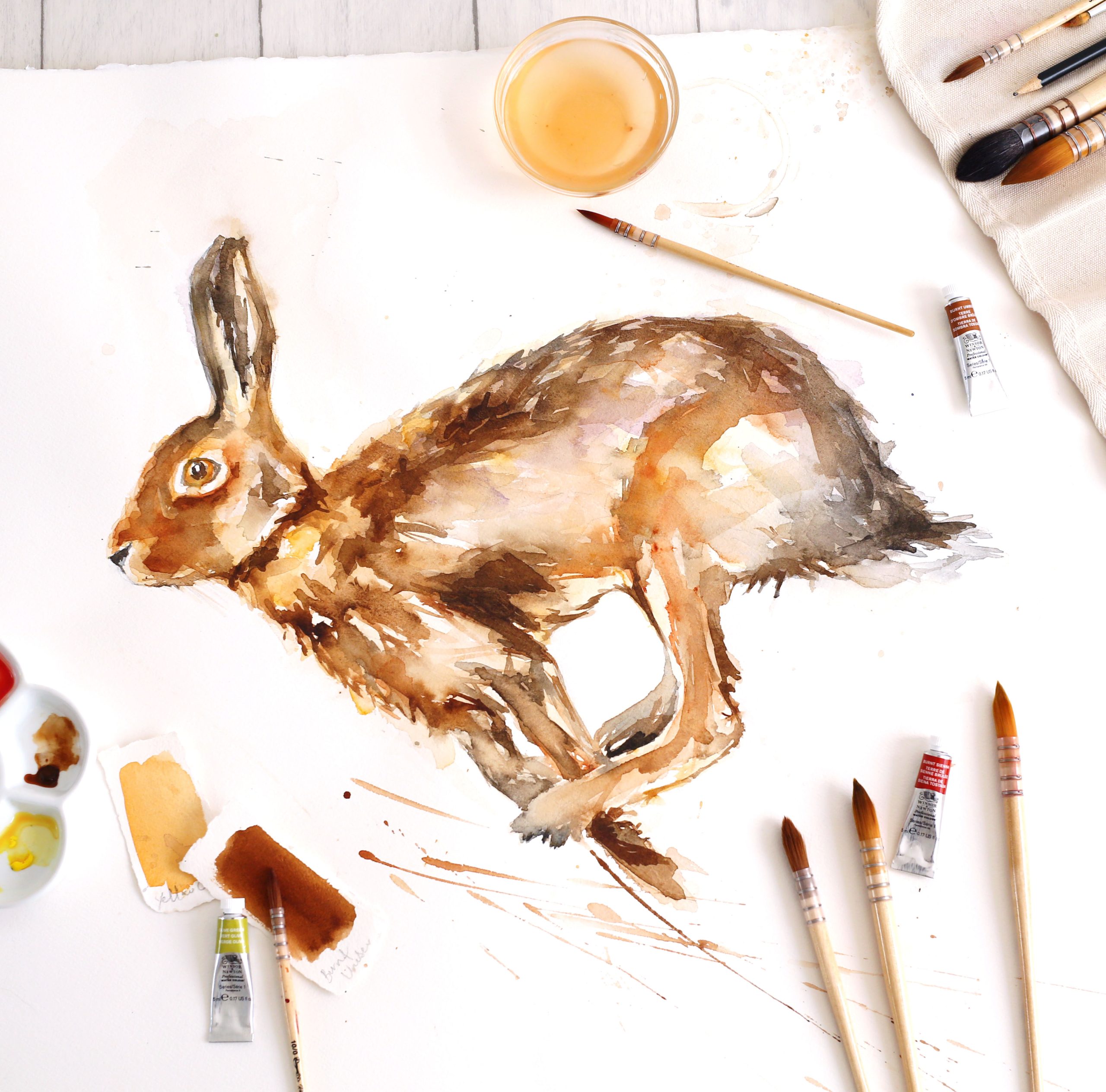 Paint a loose Racing Hare