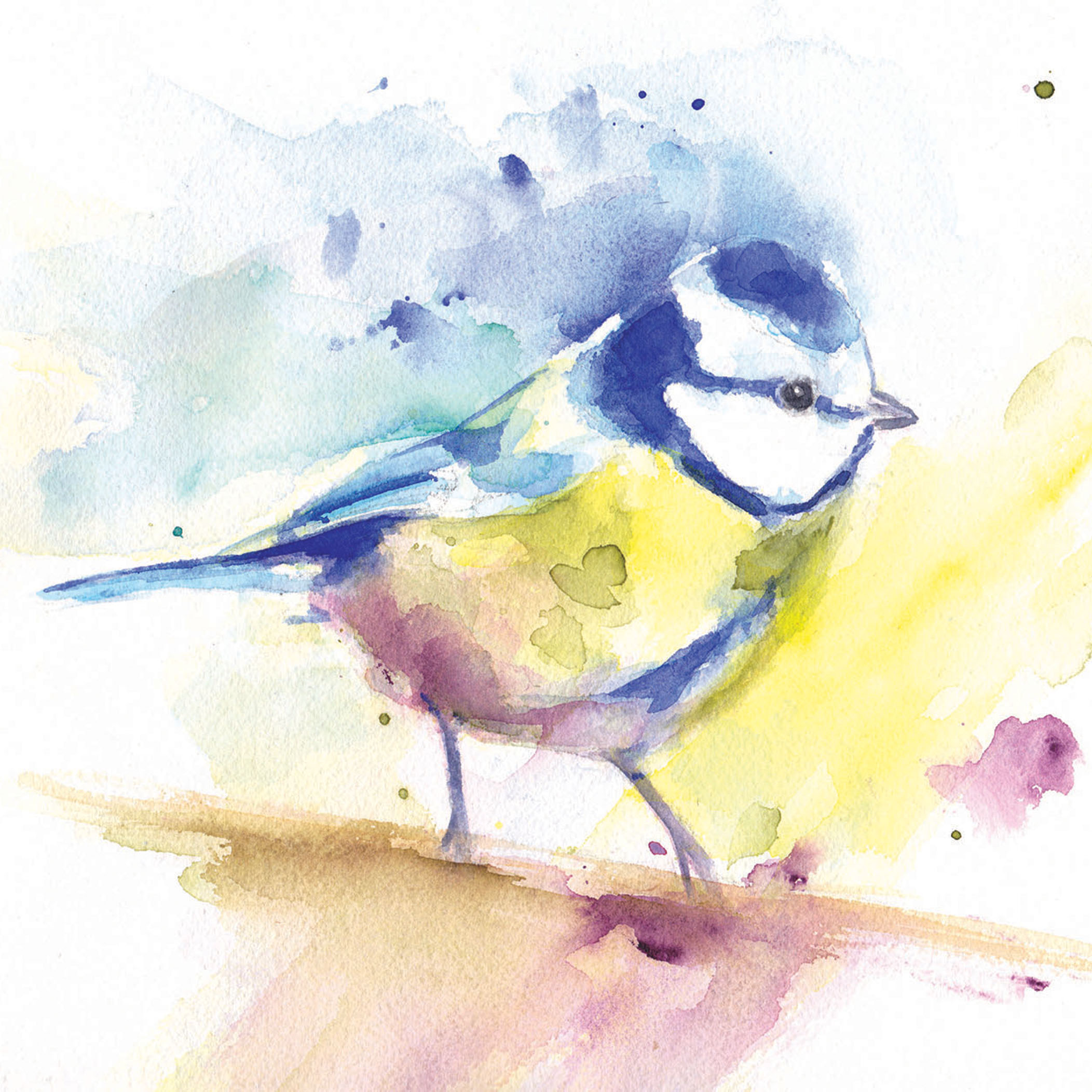 Paint a loose Bluetit