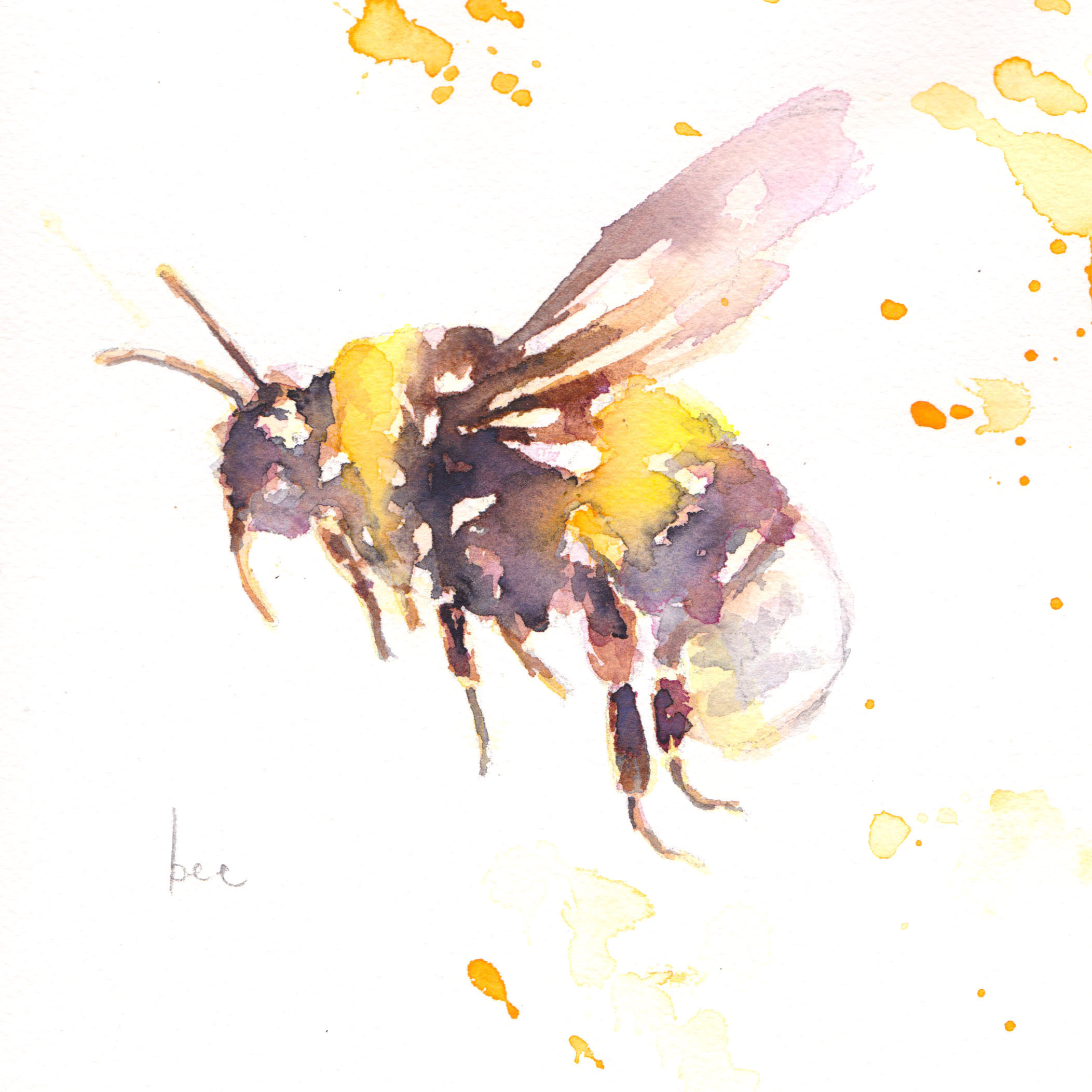 Paint a loose Bumble Bee