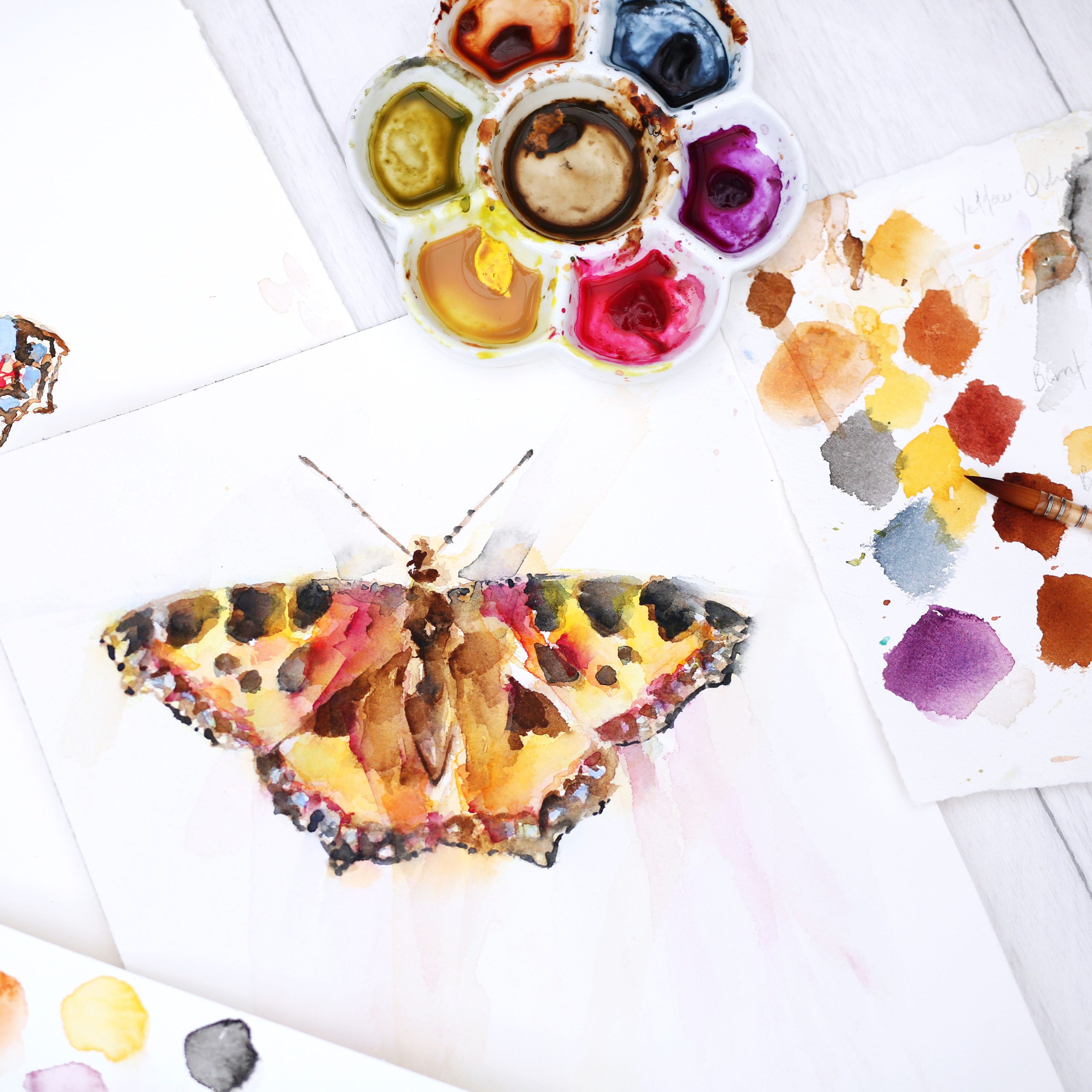 Paint a loose butterfly