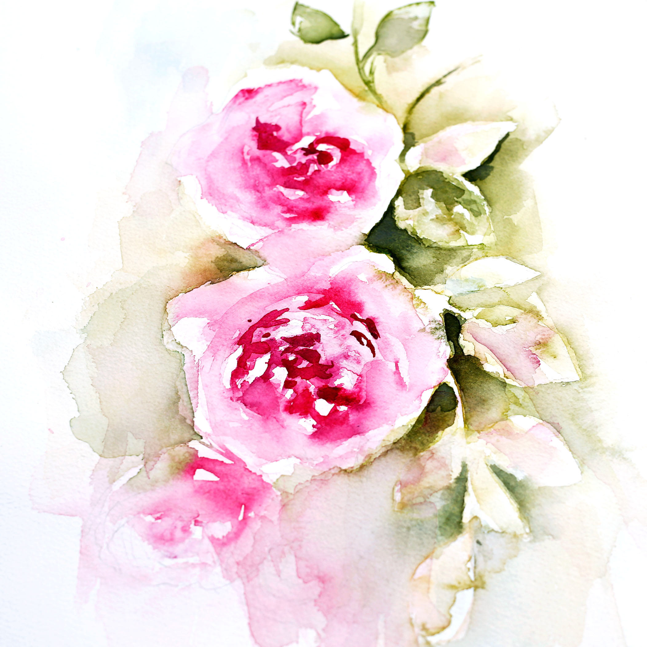 Paint Loose Roses